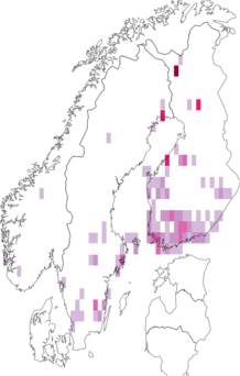 Kaarta Ectoedemia weaveri. Data source: GBIF
