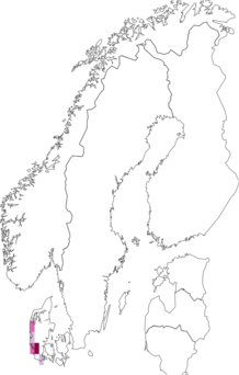Fyndkarta för Epichnopteryginae. Datakälla: GBIF