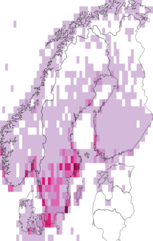 Kaarta merihanhi. Data source: GBIF