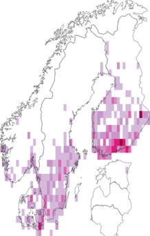 Kaarta Colocasia coryli. Data source: GBIF