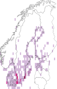 Fyndkarta för Sternula. Datakälla: GBIF