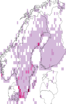 Fyndkarta för dvärgmås. Datakälla: GBIF