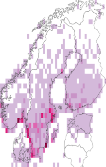 Kaarta Carduelis cannabina. Data source: GBIF