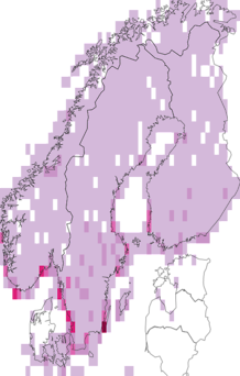 Fyndkarta för sjöorre. Datakälla: GBIF