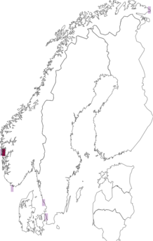 Levikukaart: ameerika hõbekajakas. Andmete allikas: GBIF