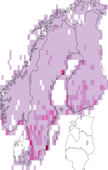Fyndkarta för snösparv. Datakälla: GBIF