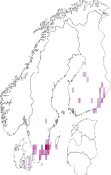 Fyndkarta för Strophedra. Datakälla: GBIF