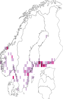 Kaarta Epipsilia grisescens. Data source: GBIF