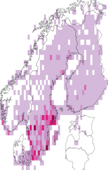 Kaarta Mergellus albellus. Data source: GBIF