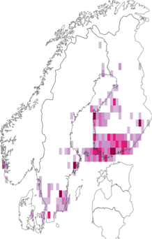 Kaarta Coleophora serratella. Data source: GBIF