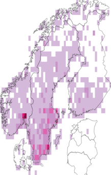 Kaarta Elateroidea. Data source: GBIF
