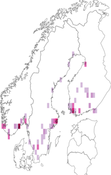 Fyndkarta för mindre rovbärfis. Datakälla: GBIF