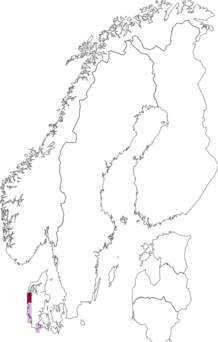 Fyndkarta för nätsäckspinnare. Datakälla: GBIF