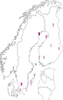 Fyndkarta för Monticola. Datakälla: GBIF