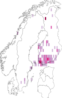 Kaarta Coleophora glitzella. Data source: GBIF