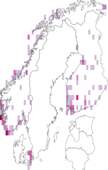 Fyndkarta för rosenstare. Datakälla: GBIF