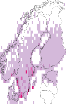 Levikukaart: pruunselg-põõsalind. Andmete allikas: GBIF