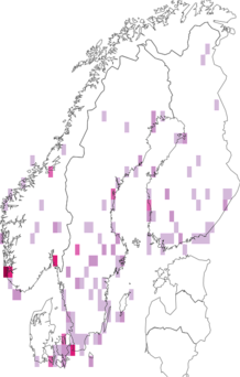 Fyndkarta för amerikansk bläsand. Datakälla: GBIF