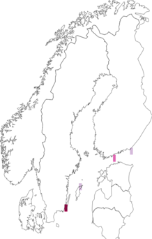 Kaarta Coleophora vibicigerella. Data source: GBIF