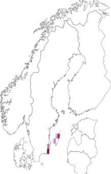 Kaarta Apterona helicoidella. Data source: GBIF