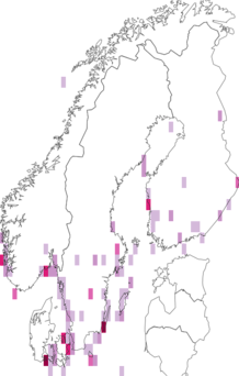 Fyndkarta för sydnäktergal. Datakälla: GBIF