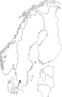 Kaarta Coleophora genistae. Data source: GBIF