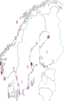 Fyndkarta för Pluvialis. Datakälla: GBIF