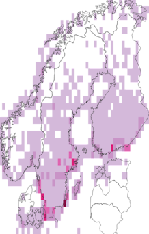 Fyndkarta för Branta. Datakälla: GBIF
